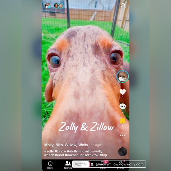 Hi Friend, I’m Christeena - Picture 8 of 16